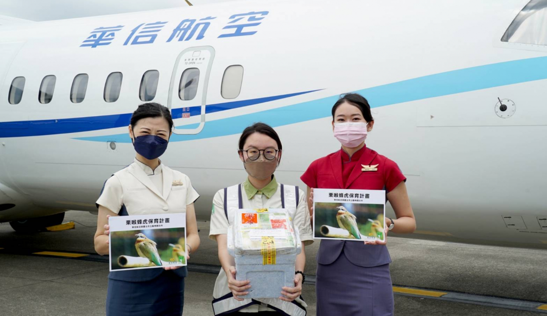 華信航空與臺北市立動物園合作-推動栗喉蜂虎保育計畫